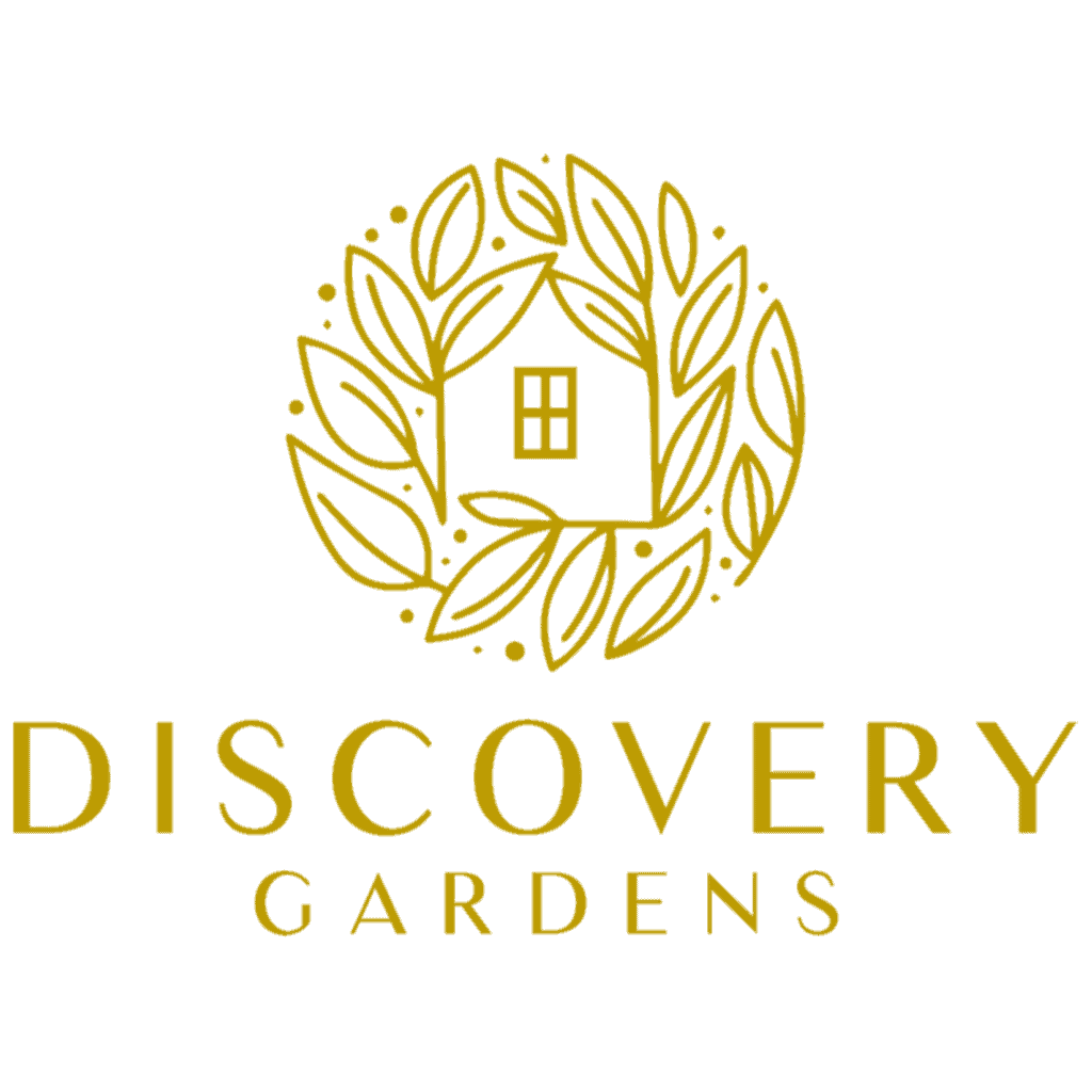 Discovery-cch-2-1024x1024
