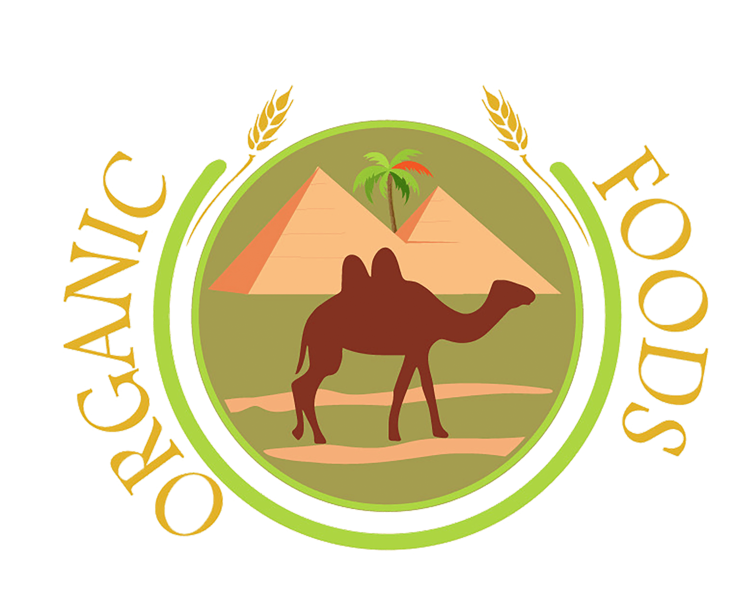 Logo-PNG